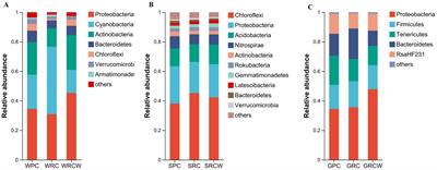 Effect of different rice transplanting patterns on microbial community in water, sediment, and Procambarus clarkii intestine in rice-crayfish system